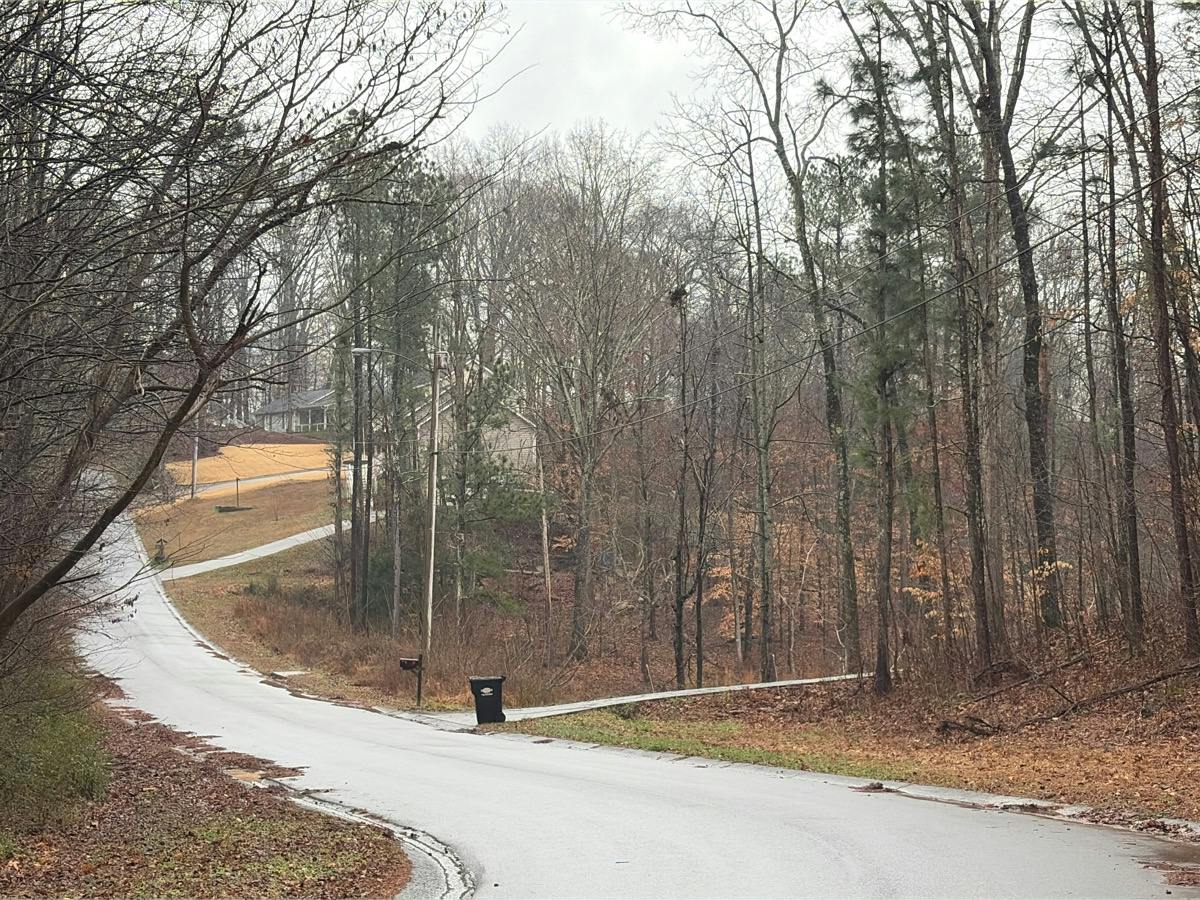 Lakeview Ter, Dallas, GA 30132