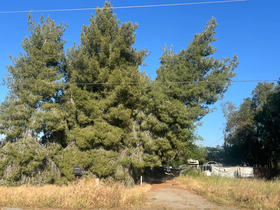 20288 Road 196 Lindsay, CA 93247, Tulare County