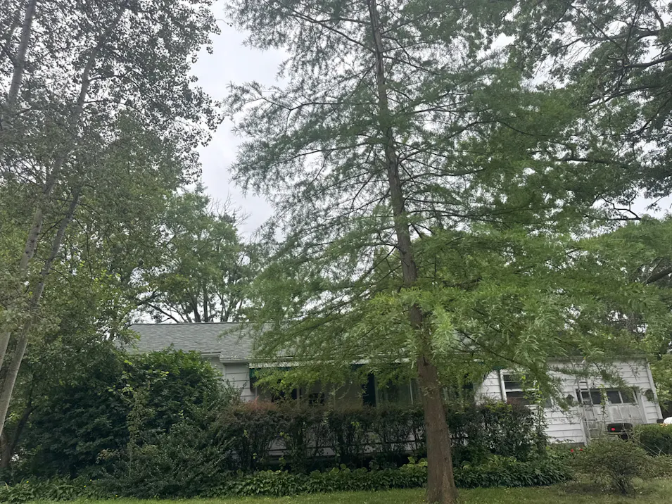 2234 Windemere Avenue Akron, OH 44312, Summit County