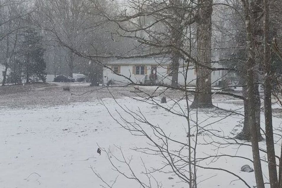 11615 Patillo Road Dewitt, VA 23840, Dinwiddie County