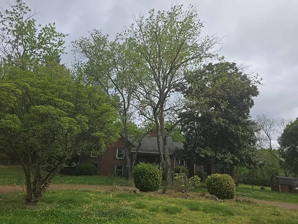 534 East College Street Pulaski, TN 38478, Giles County