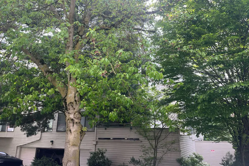 211 Summit Ave E Apt 108 Seattle, WA 98102, King County