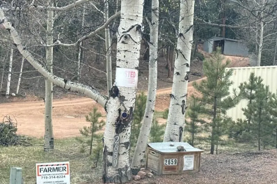 2659 Edlowe Rd Woodland Park, CO 80863, Teller County