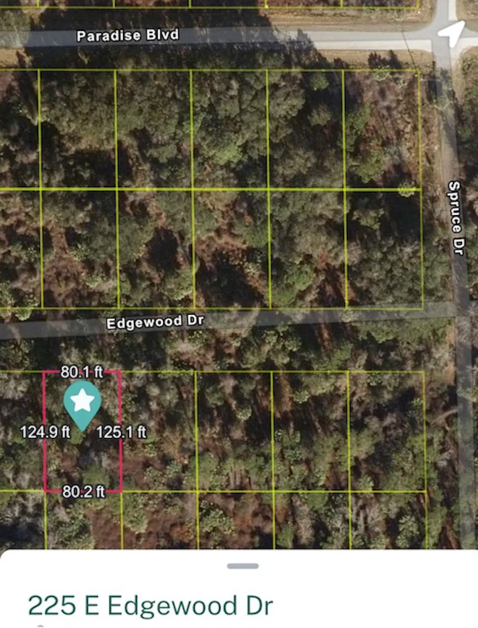 225 Edgewood Drive Georgetown, FL 32139, Putnam County