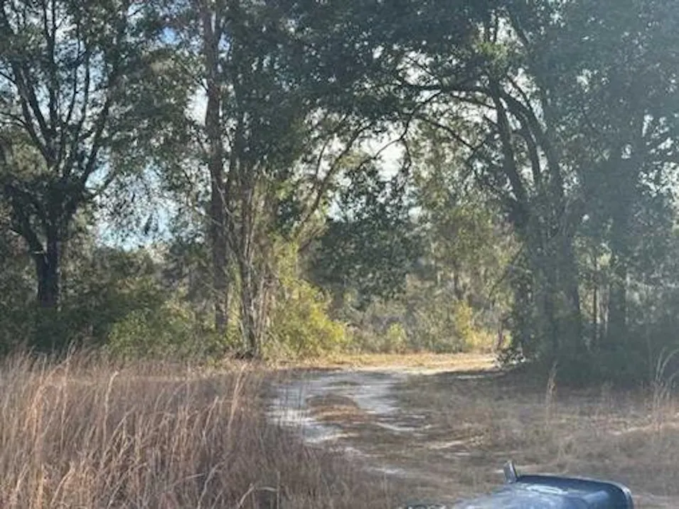 668 Ruby Burnsed Rd Aka Rr1 Box 1115 Saint George, GA 31562, Charlton County