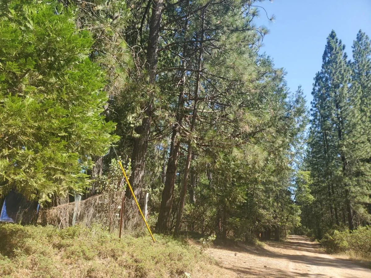 Thom Rd, Rail Road Flat, CA 95248 #1