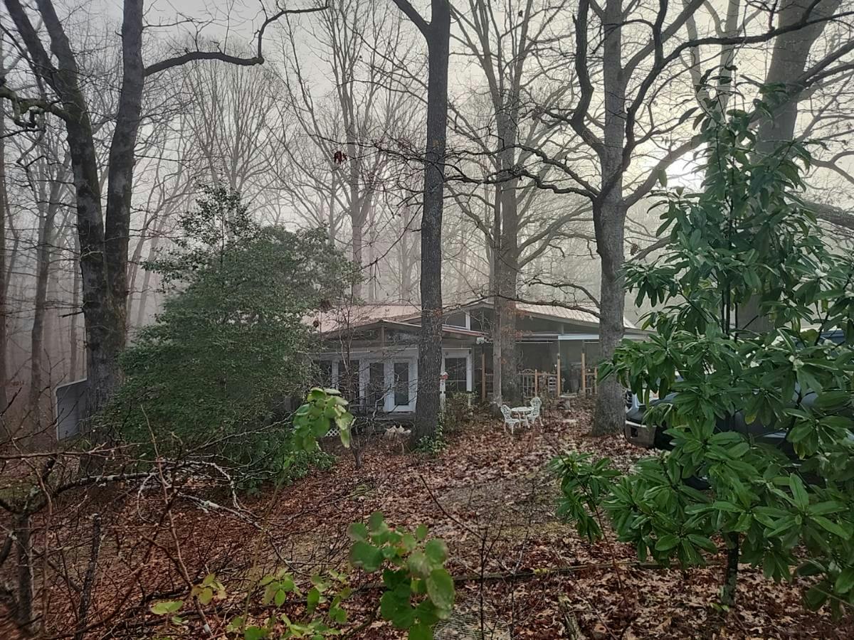 Tull Garner Rd, Bethel Springs, TN 38315