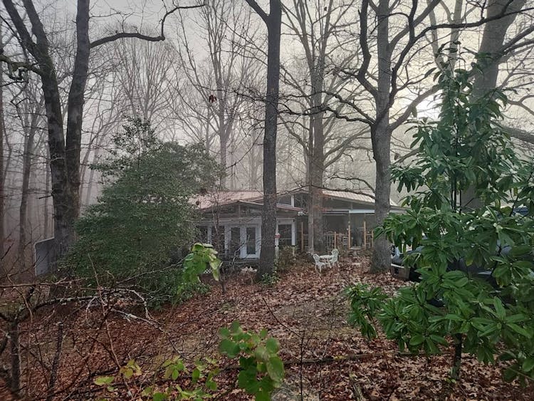 178 Tull Garner Road Bethel Springs, TN 38315, McNairy County