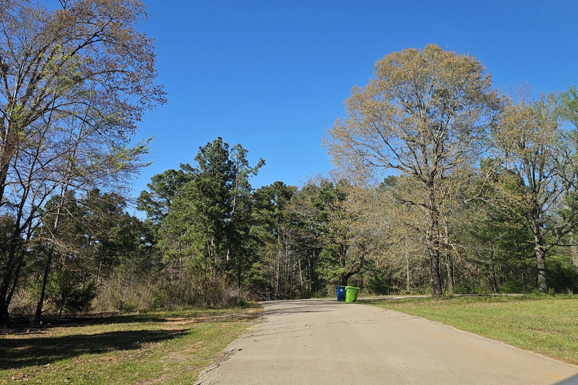 Mcknight St, Brownsboro, TX 75756
