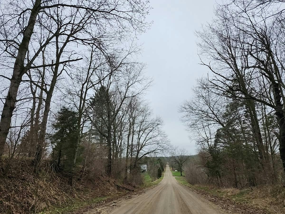 Fruin Rd, Bellevue, MI 49021