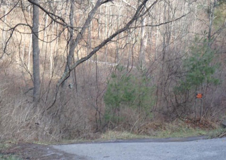 1142 Beckley Rd Princeton, WV 24740, Mercer County