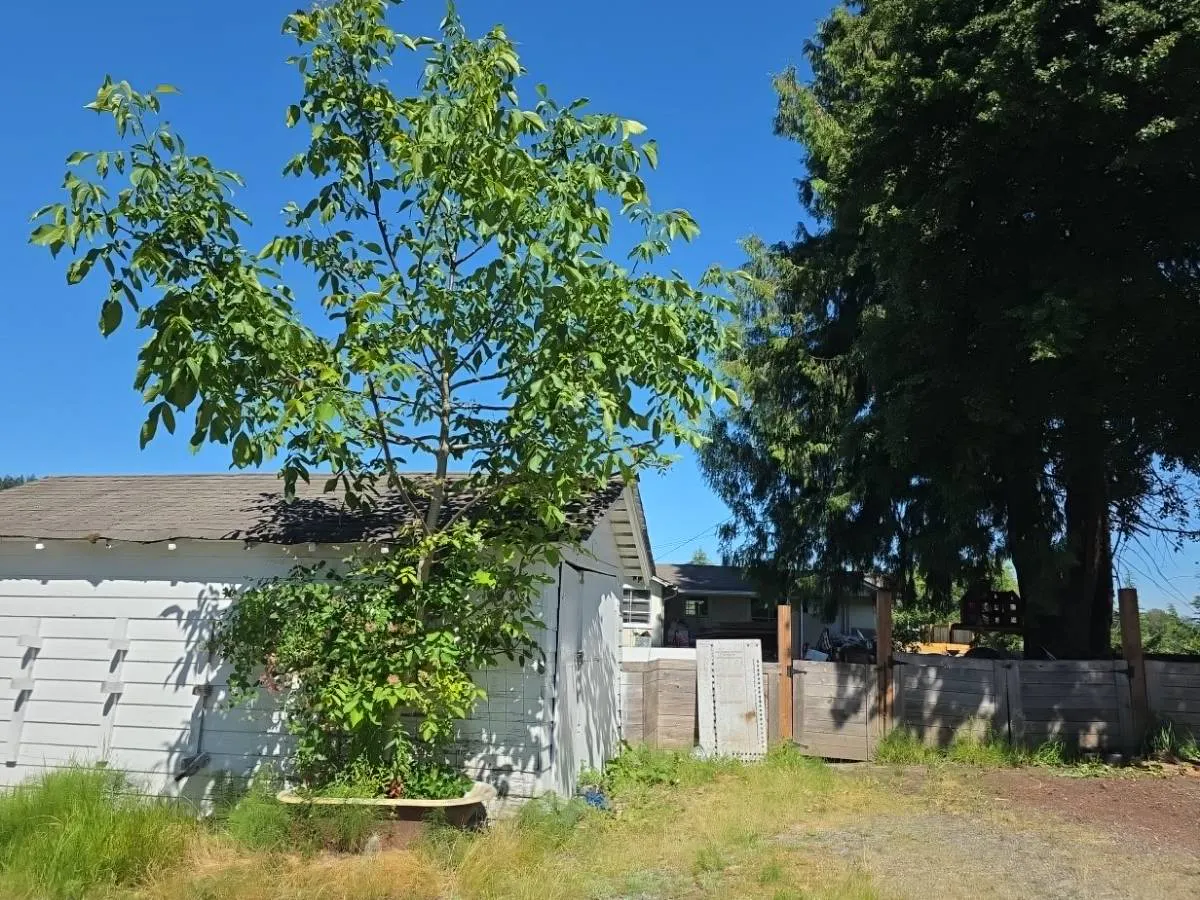 59th Street Ct, Puyallup, WA 98372 #1