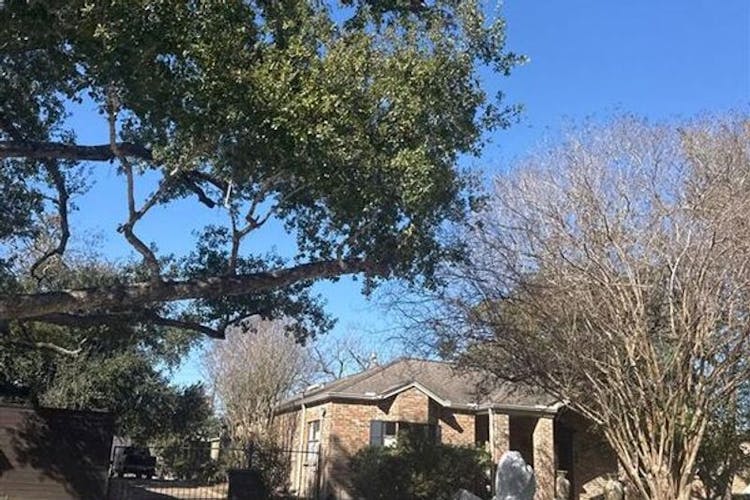 8702 Linkpass Ln Houston, TX 77025, Harris County