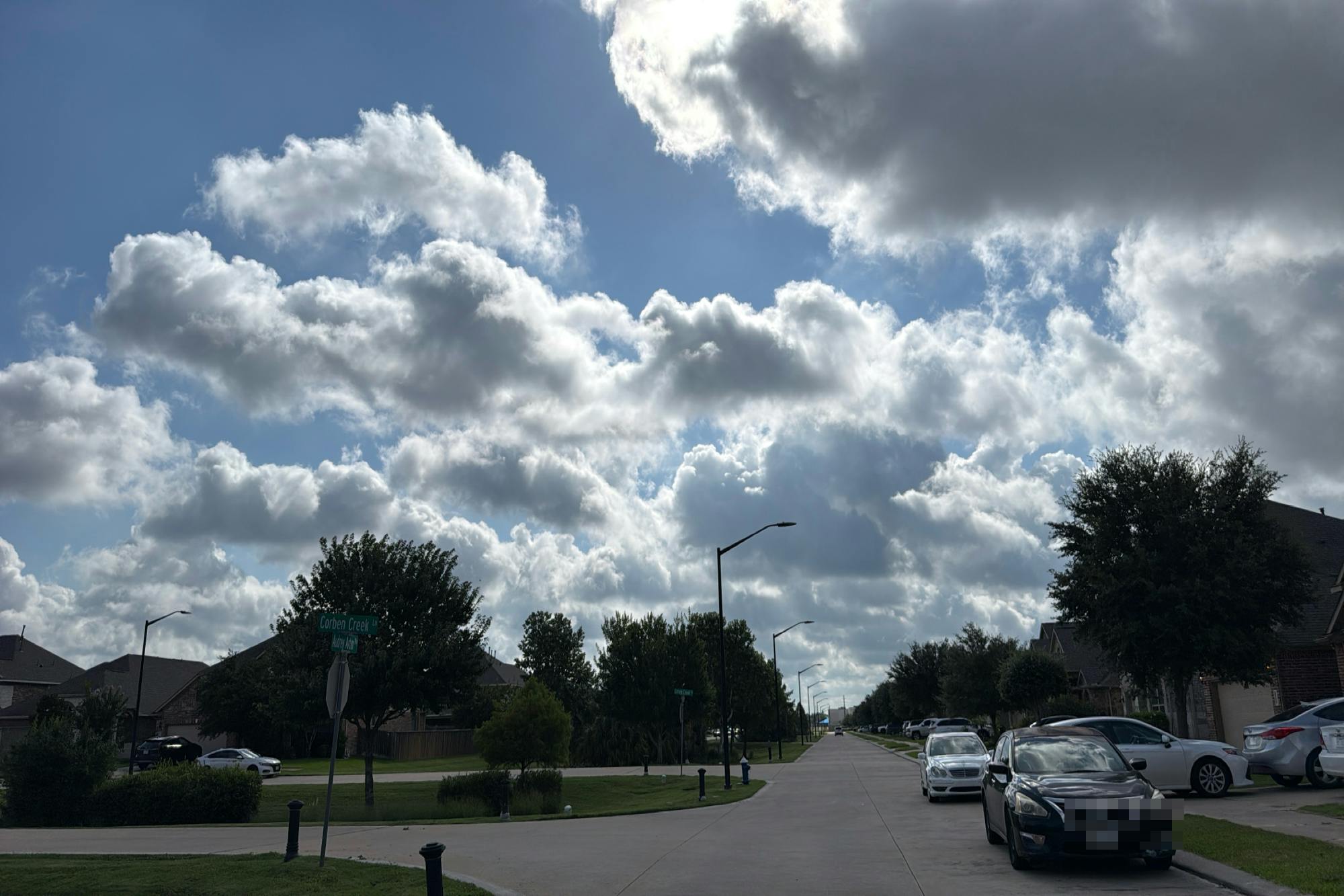 Audrey Arbor Way, Richmond, TX 77407