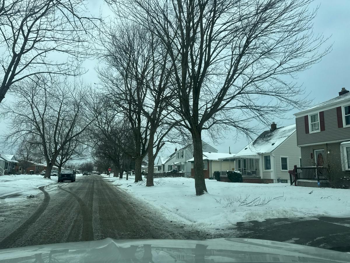 Leblanc St, Lincoln Park, MI 48146