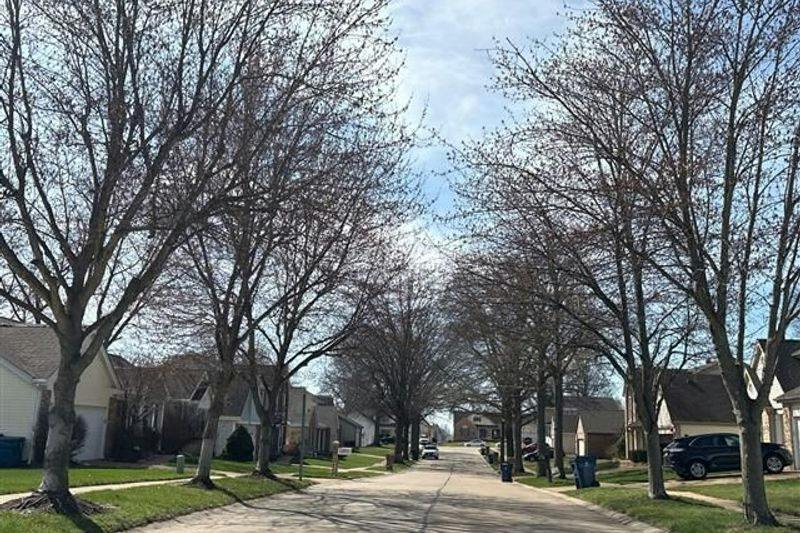Rougemount Branch Dr, Saint Louis, MO 63129
