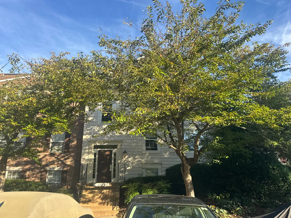 12108 Green Leaf Court, Apt 201 Fairfax, VA 22033, Fairfax County