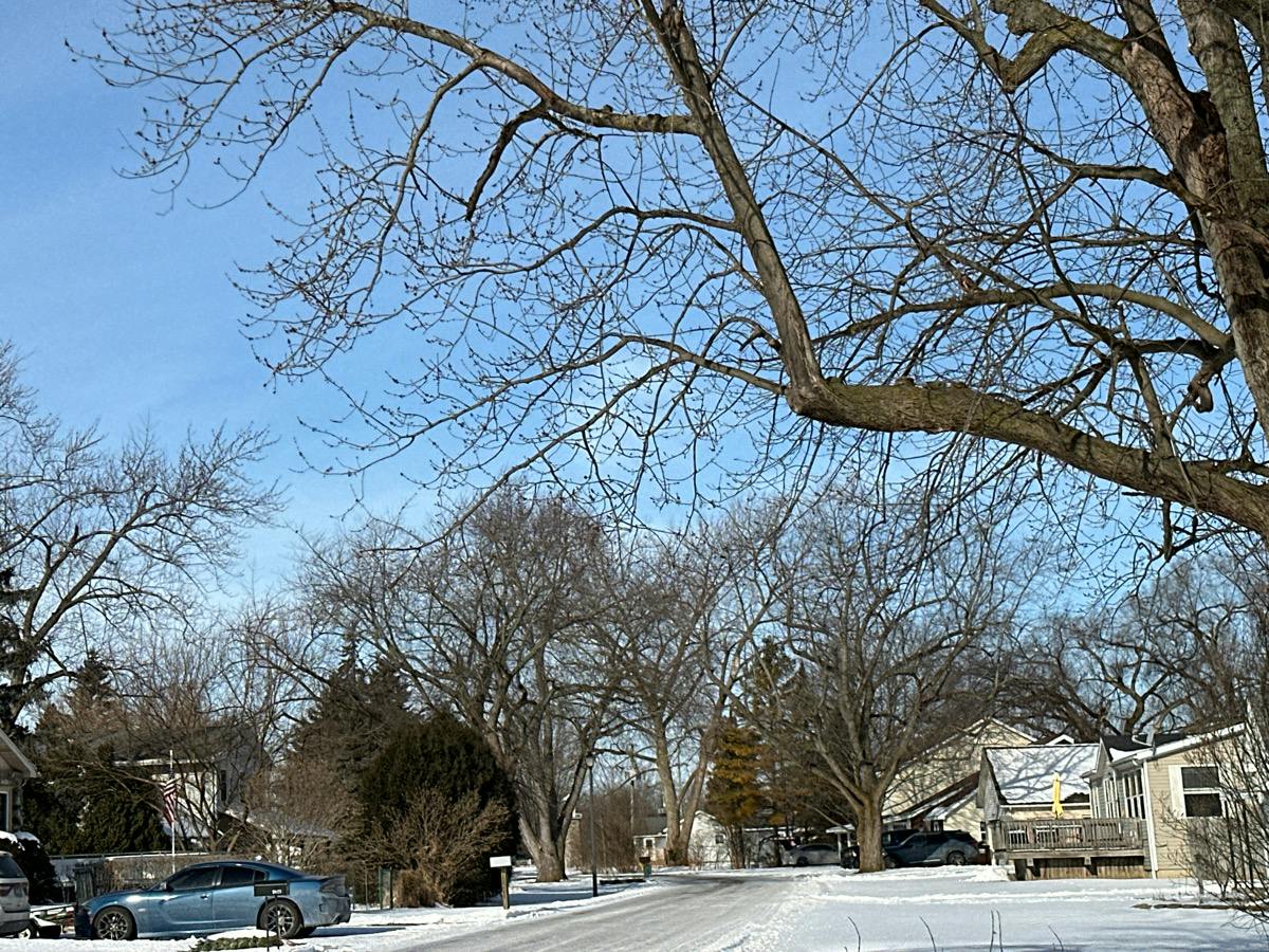 10th St, Monroe, MI 48162
