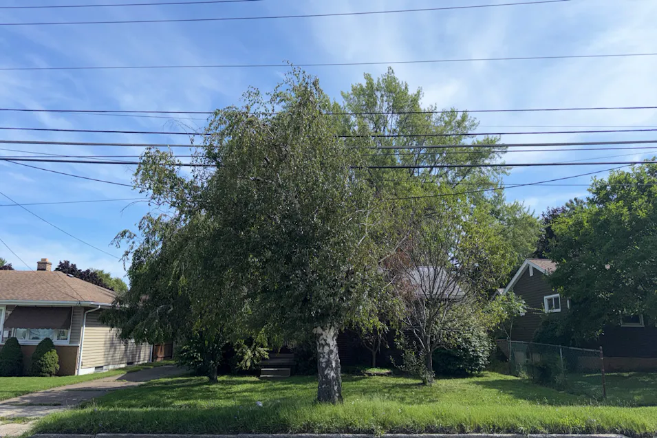 3309 McClelland Ave Erie, PA 16510, Erie County