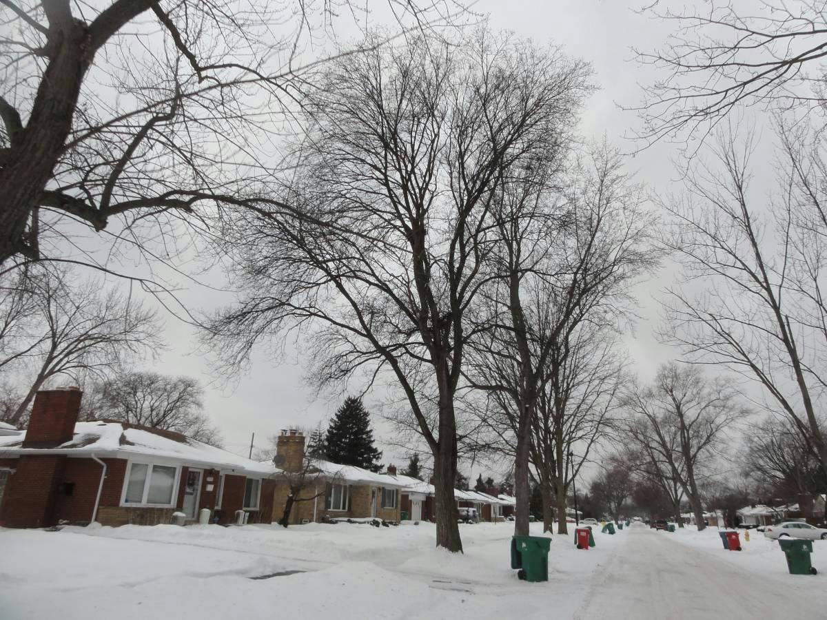 Sprenger Ave, Eastpointe, MI 48021