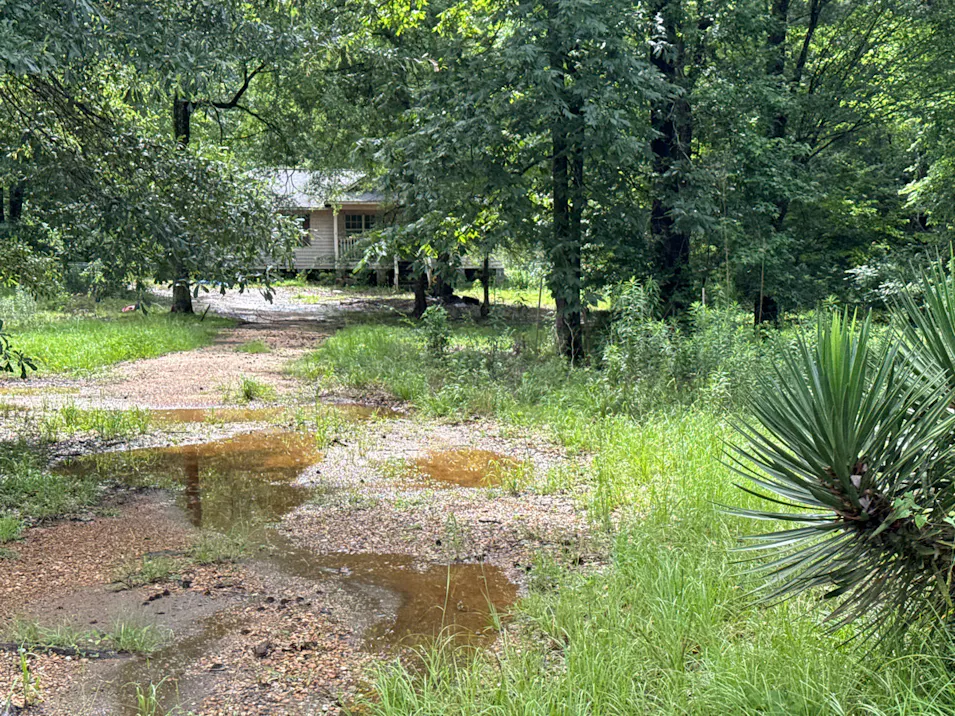 137 Lewis Kieffer Rd Saint Maurice, LA 71471, Winn County