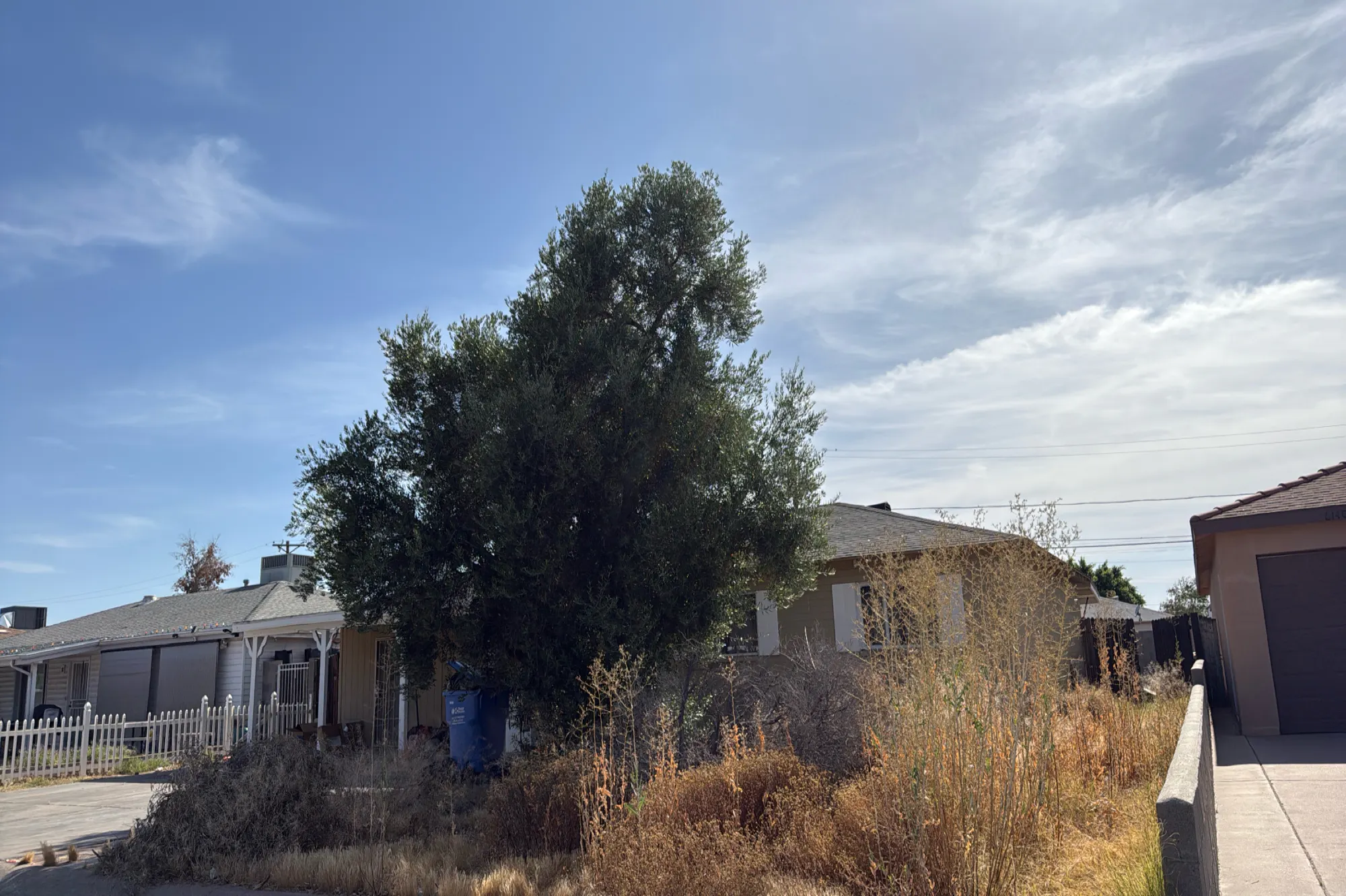 31st Dr, Phoenix, AZ 85017 #1