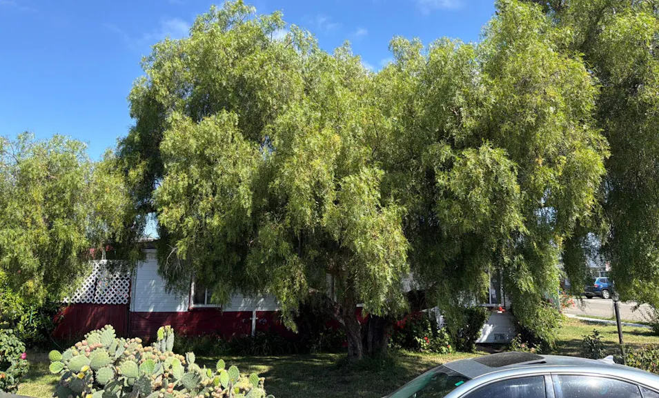271 Fitzpatrick Road Oakland, CA 94603, Alameda County