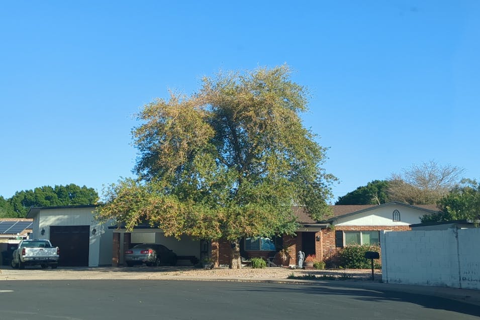 1034 East Fairfield Street Mesa, AZ 85203, Maricopa County