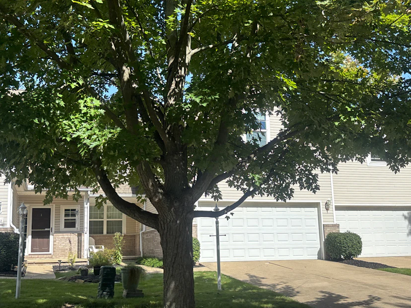 18576 Southporte