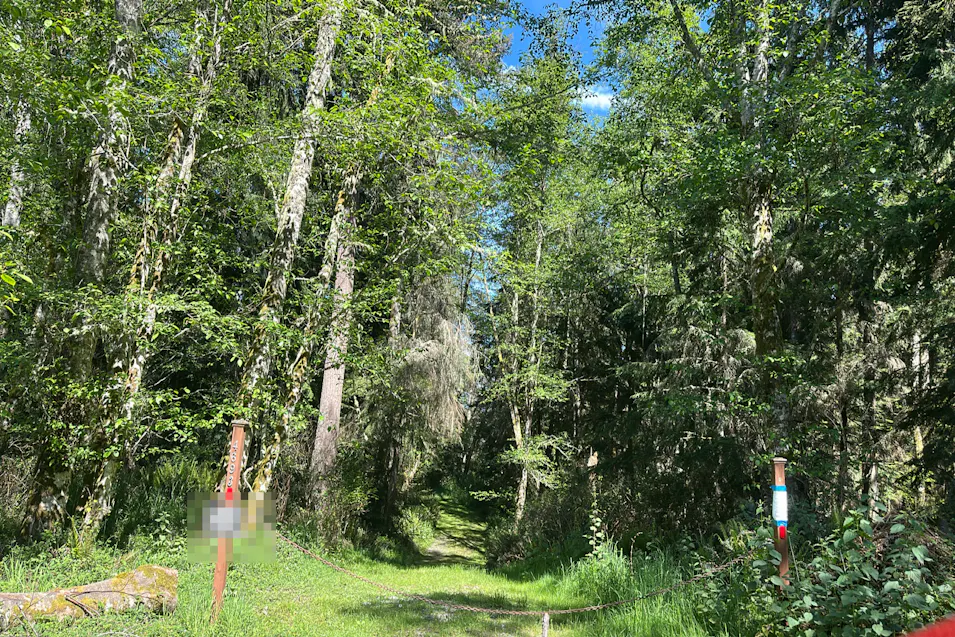 4693 Evenstar Lane Freeland, WA 98249, Island County