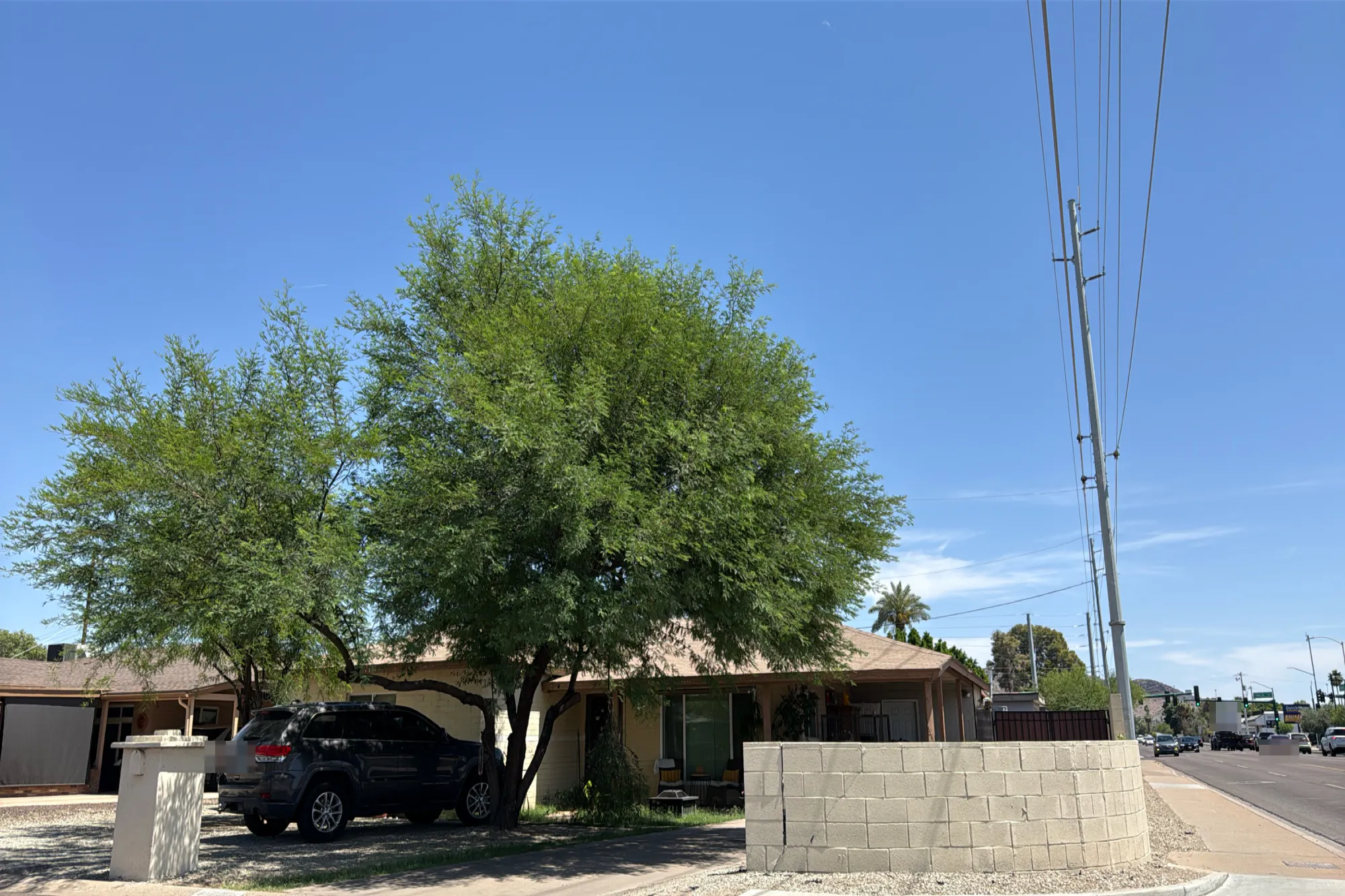 11th Pl, Phoenix, AZ 85020 #1