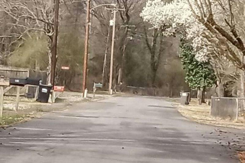Pine , Benton, AR 72015