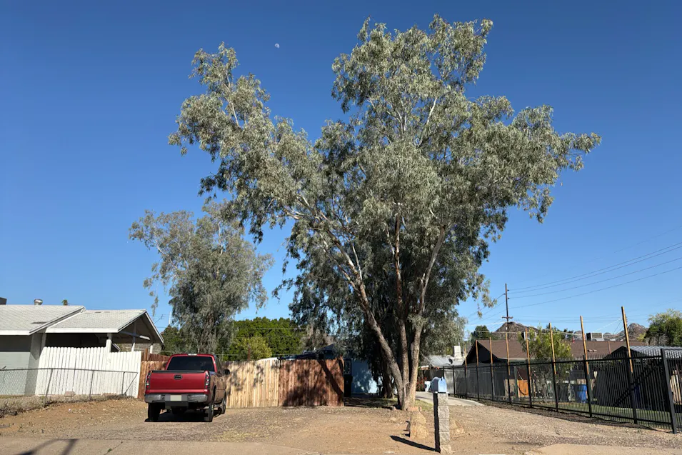 9611 N 7th Pl Phoenix, AZ 85020, Maricopa County