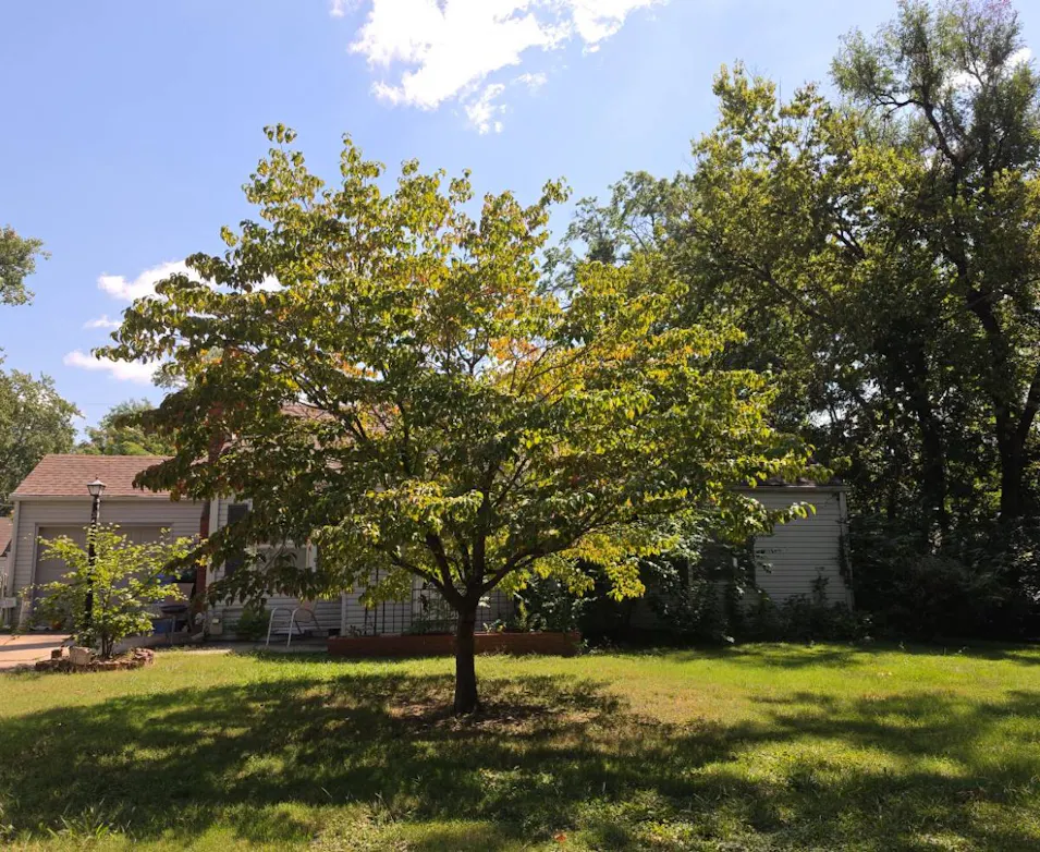 826 SW Webster Ave Topeka, KS 66606, Shawnee County
