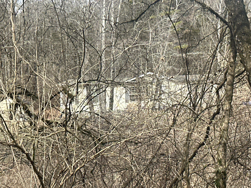 5123 Avis Ln
