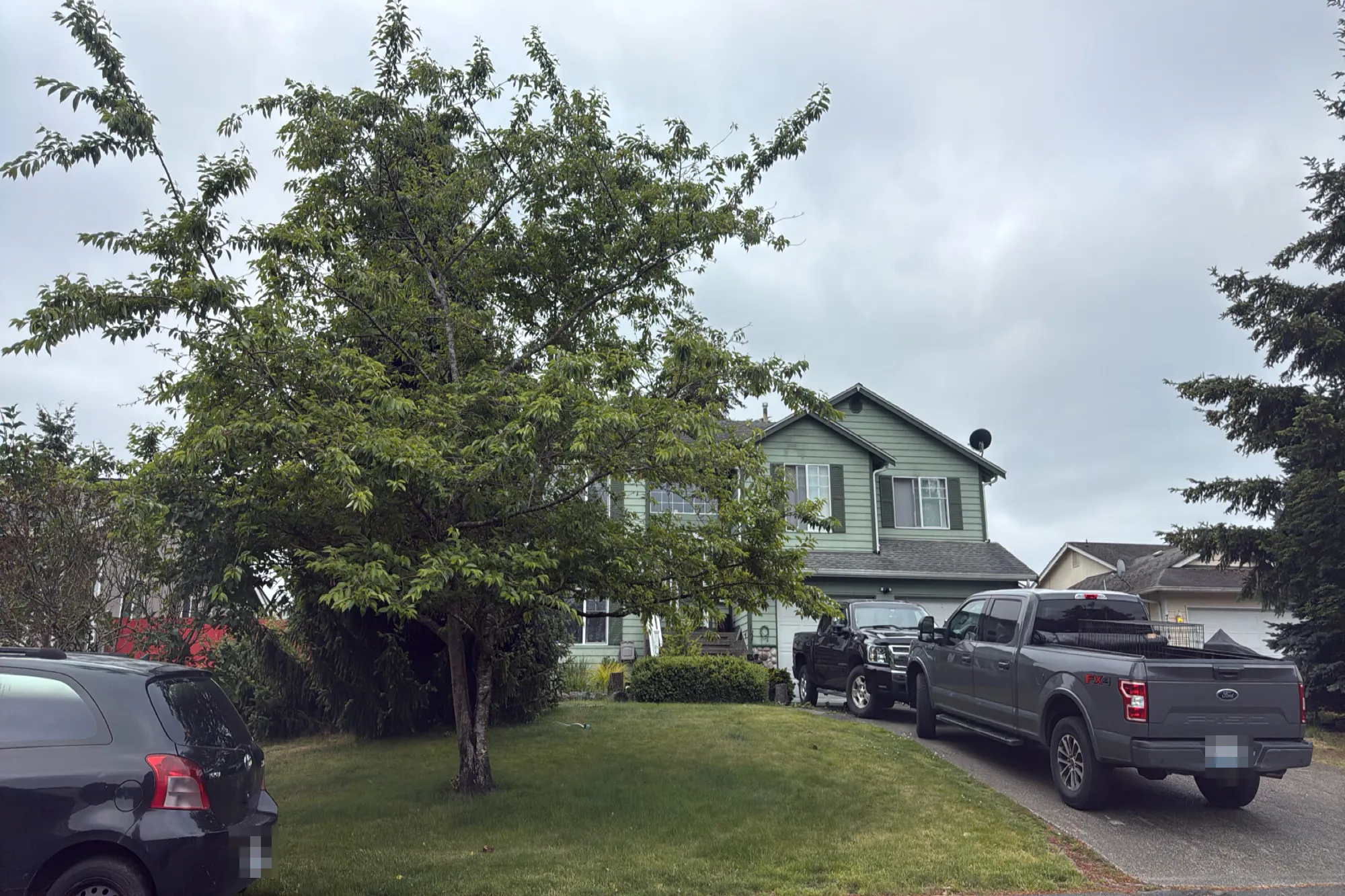 203rd Street Ct, Spanaway, WA 98387 #1