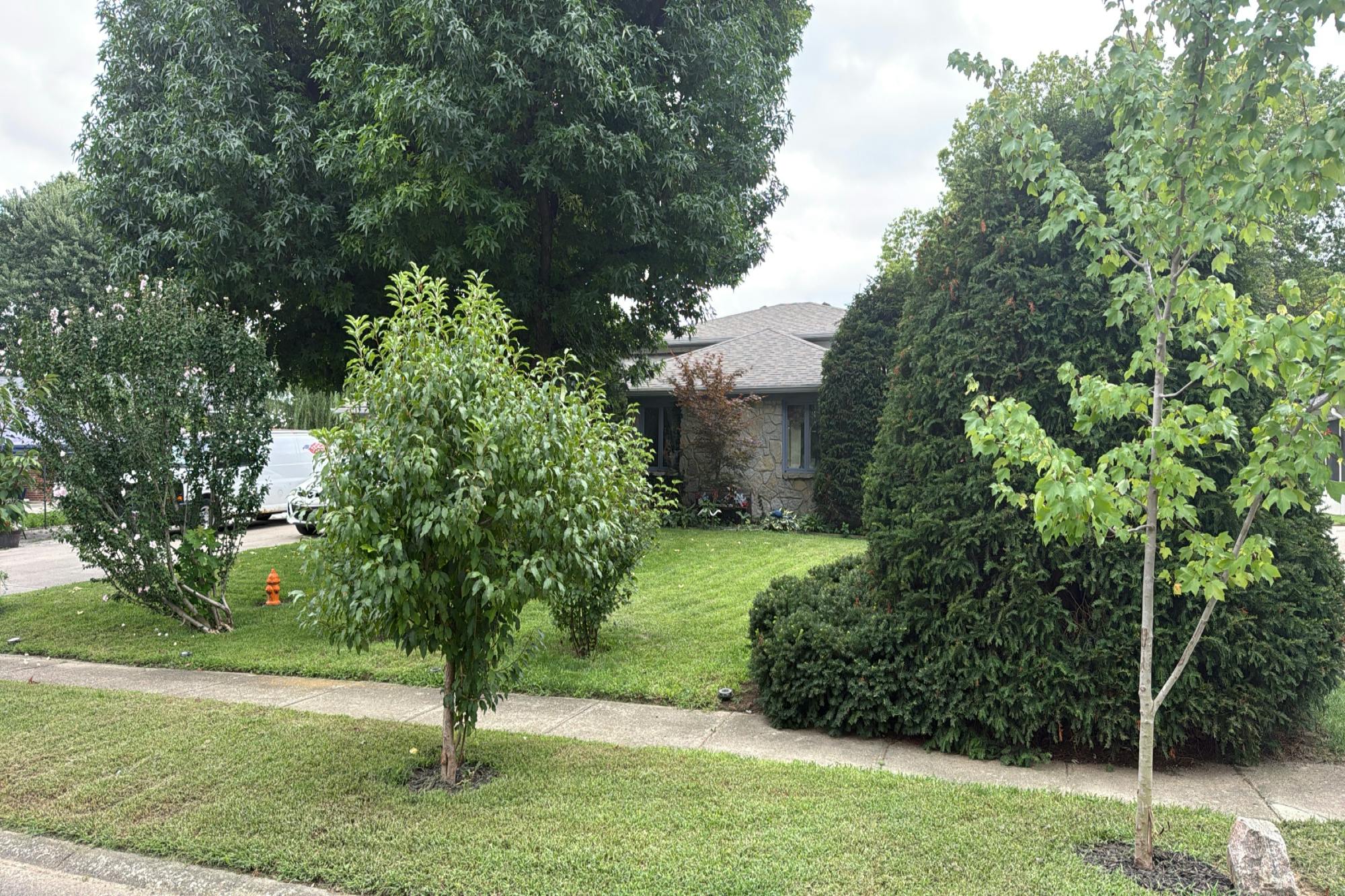 Thorndale St, Indianapolis, IN 46214