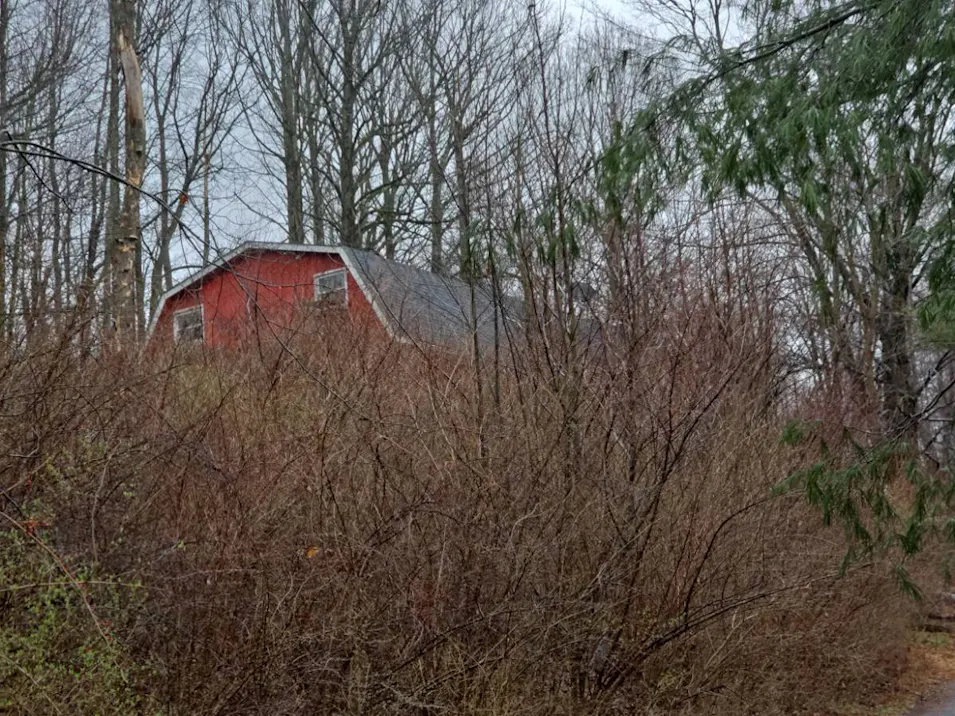 12000 Telpahak St SE Minerva, OH 44657, Stark County