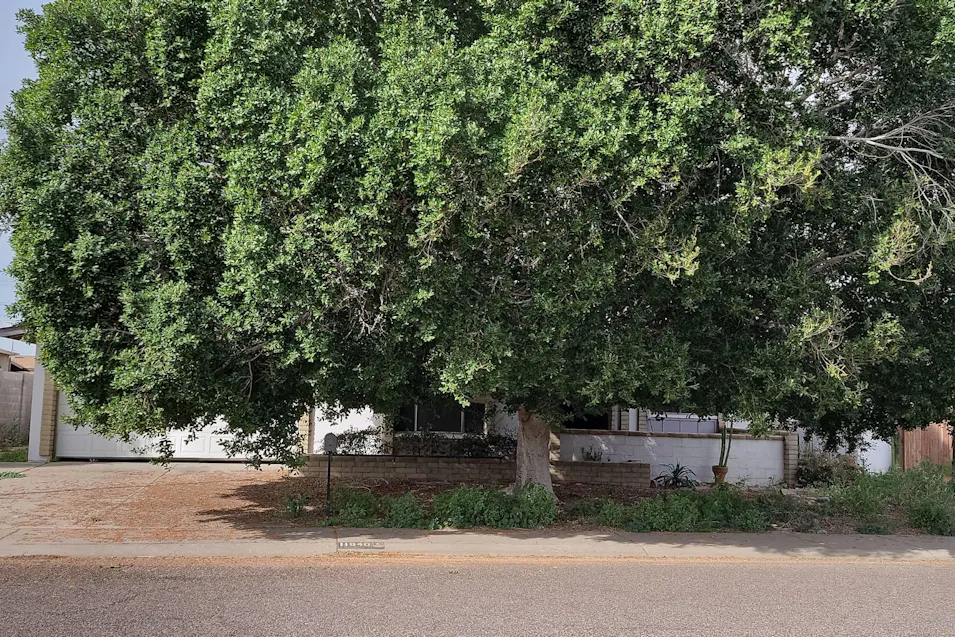 11840 N 49th Ave Maricopa, AZ 85304, Maricopa County