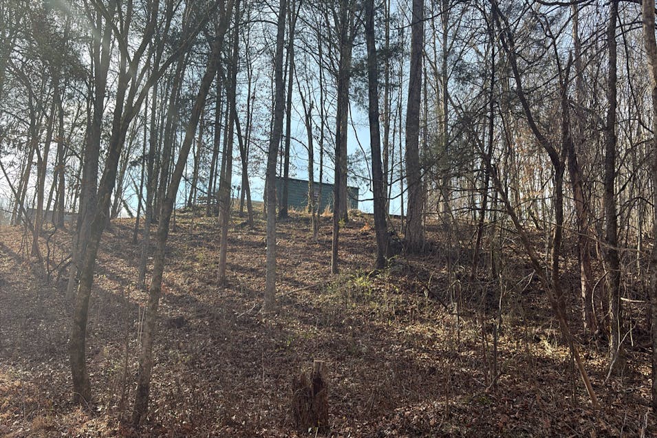 337 Woods Hollow Rd Decatur, TN 37322, Meigs County