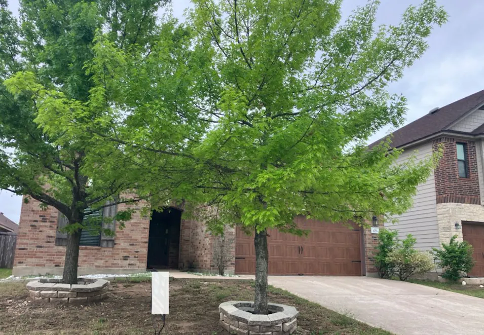 825 Watson Way Pflugerville, TX 78660, Travis County