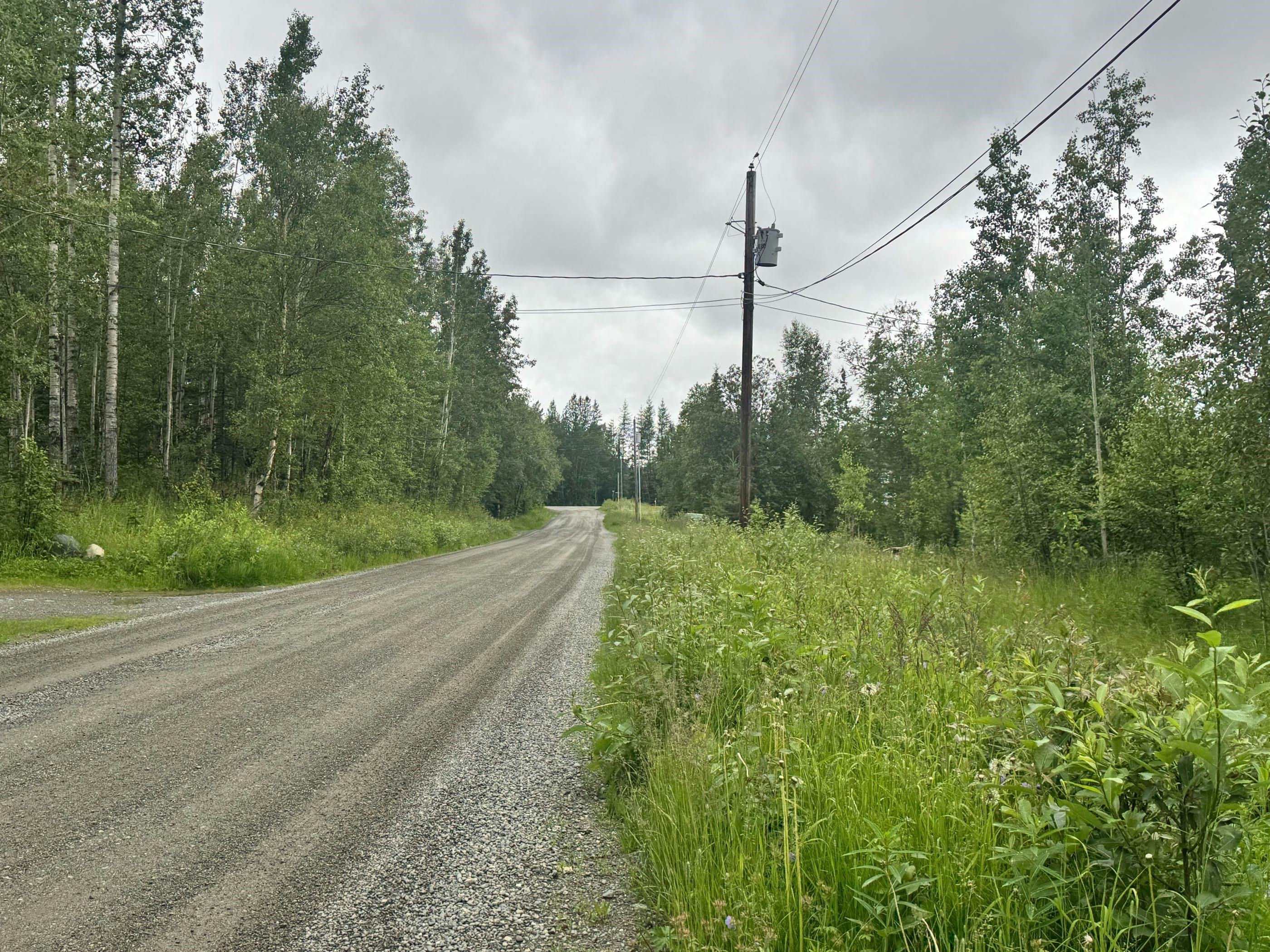 Silver Fox Ln, Wasilla, AK 99654