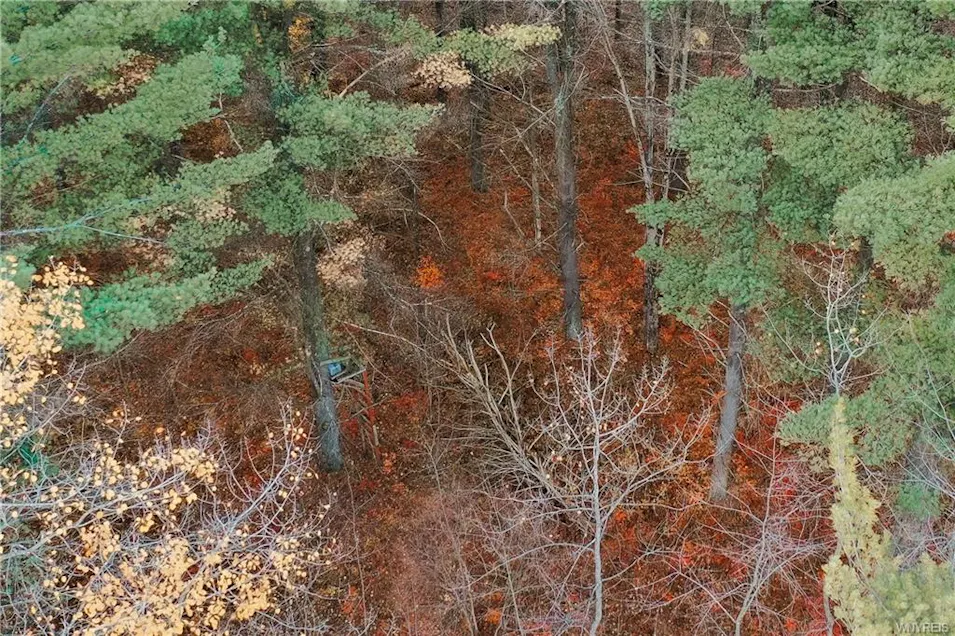 0 Smith Road Brasher Falls, NY 13613, Saint Lawrence County