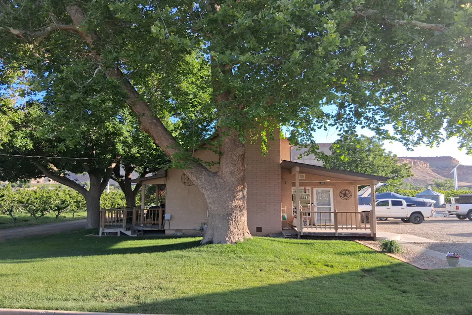 3870 G 1/4 Rd Palisade, CO 81526, Mesa County