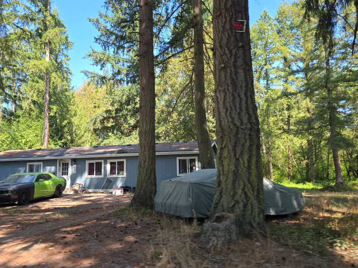 381st St, Roy, WA 98580 #1