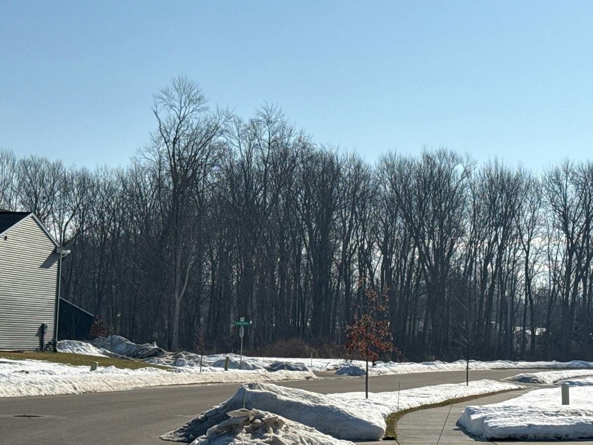 Alder Dr, Grandville, MI 49418