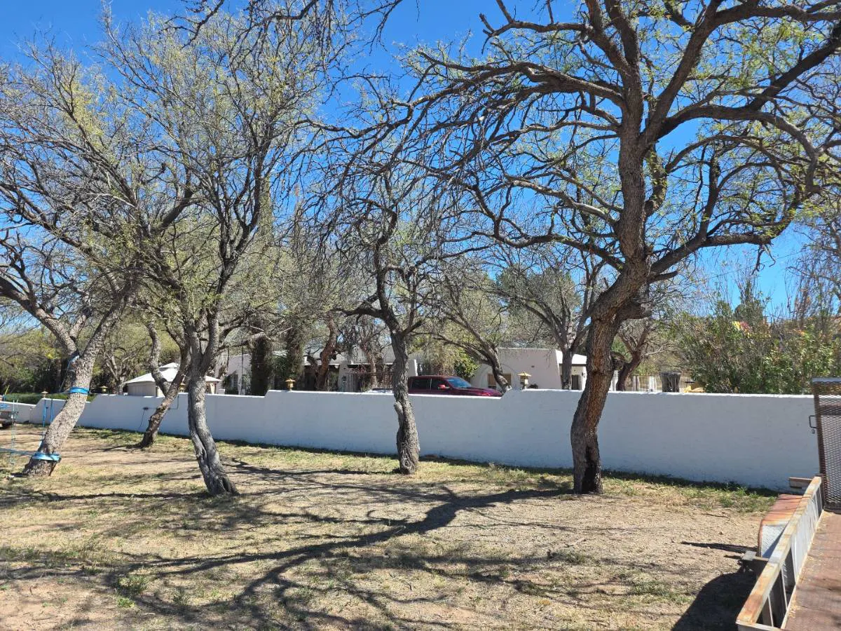 Baffert Pl, Nogales, AZ 85621 #1
