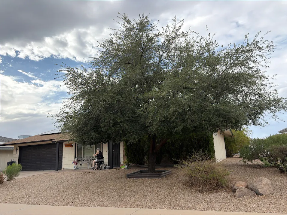 9614 W Wrangler Dr Sun City, AZ 85373, Maricopa County