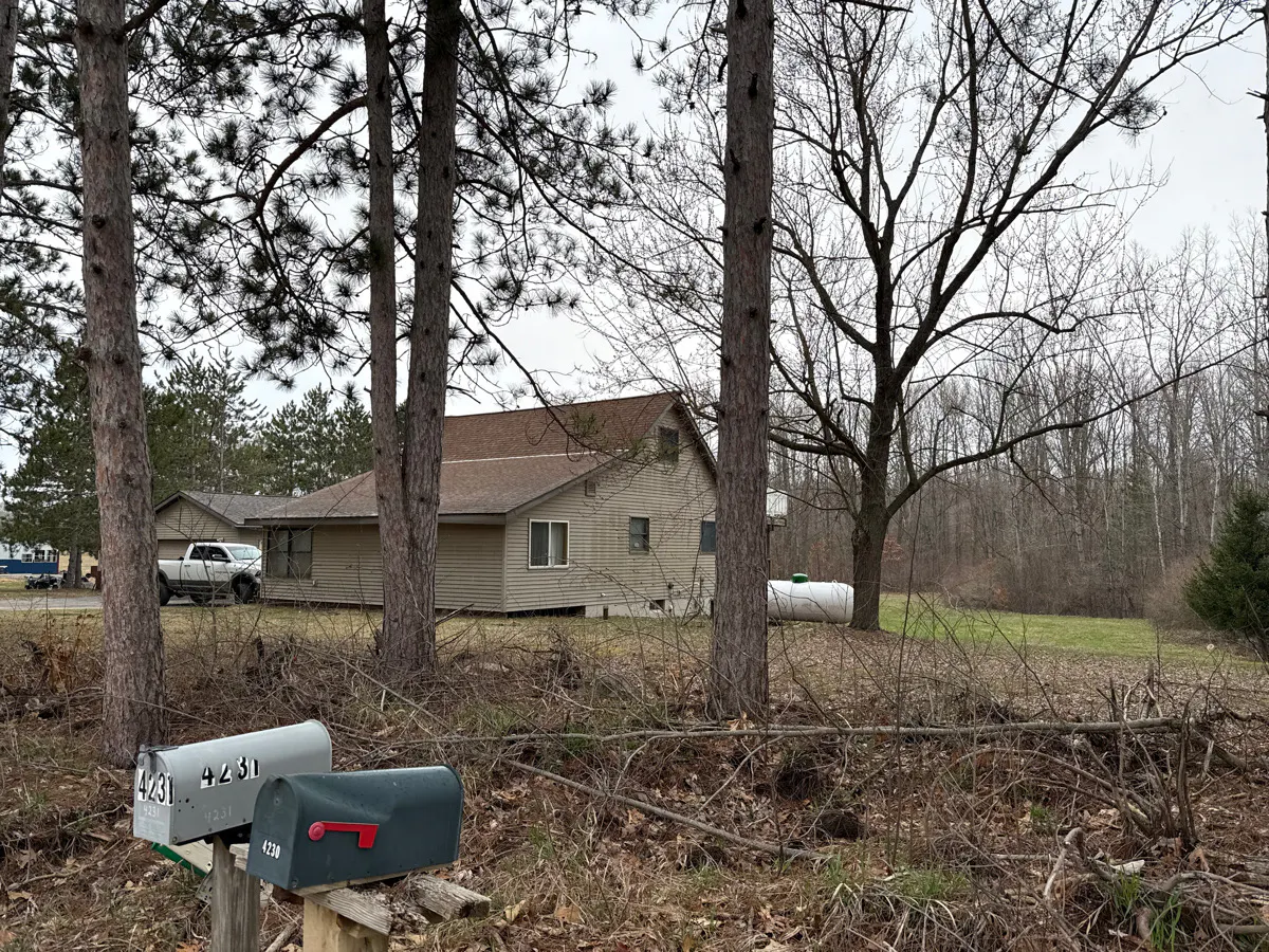 Pakes Rd, Stanton, MI 48888 #1