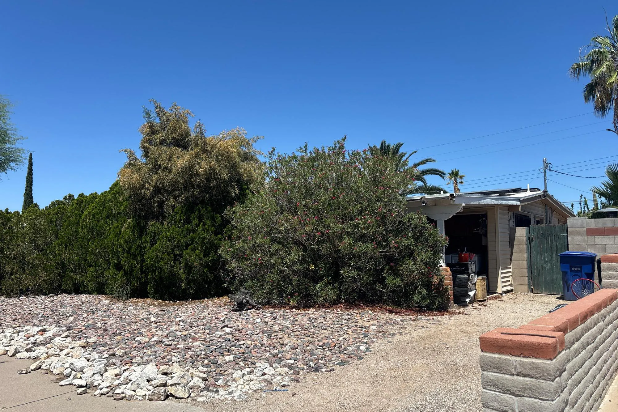 Pena Blanca Dr, Tucson, AZ 85730 #1